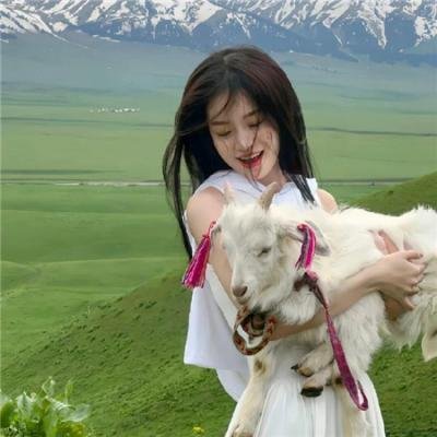 加菲猫和他的朋友们第七季