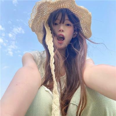 燕子盗